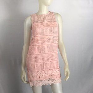 Abercrombie and Fitch Pink Lace Mini Dress NWT (Size XS)